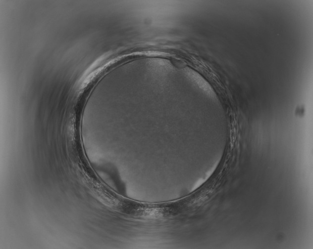 X0000115610295200912011557