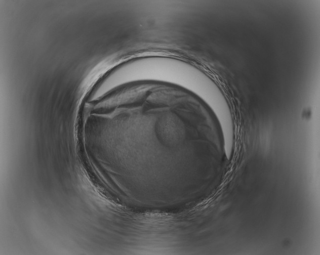 X0000115610296200912011557