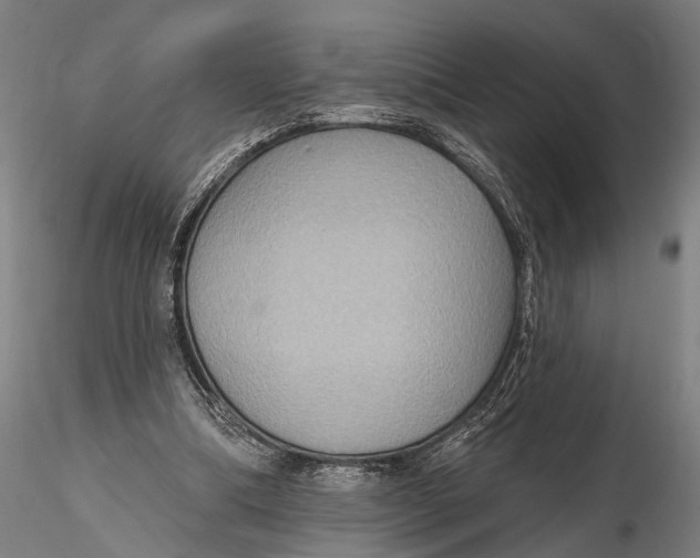 X0000115610298200912011557