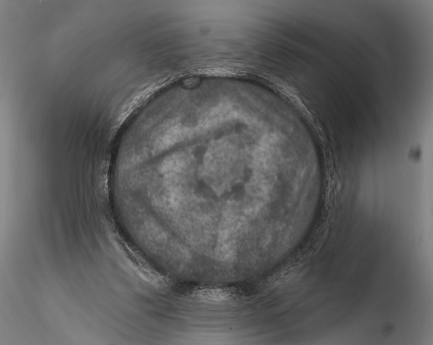X0000115610299200912011557