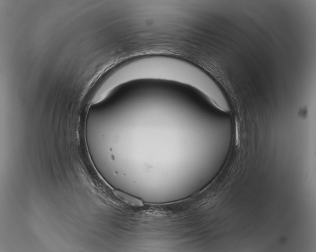 X0000115610300200912011557
