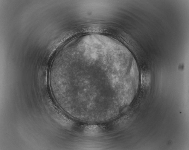 X0000115610301200912011557