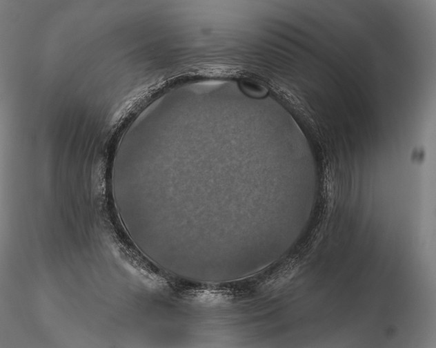 X0000115610303200912011557