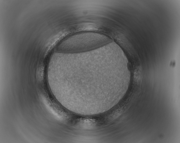 X0000115610304200912011557