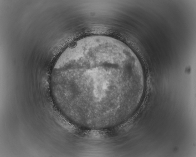 X0000115610305200912011557