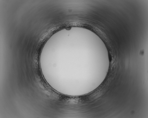 X0000115610306200912011557