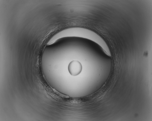 X0000115610308200912011557
