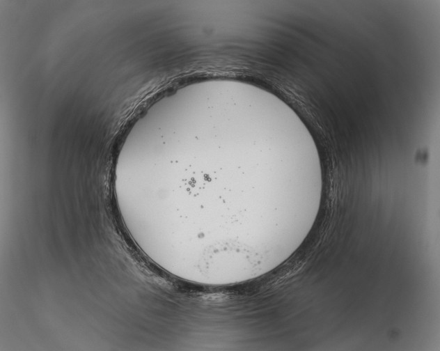 X0000115610309200912011557