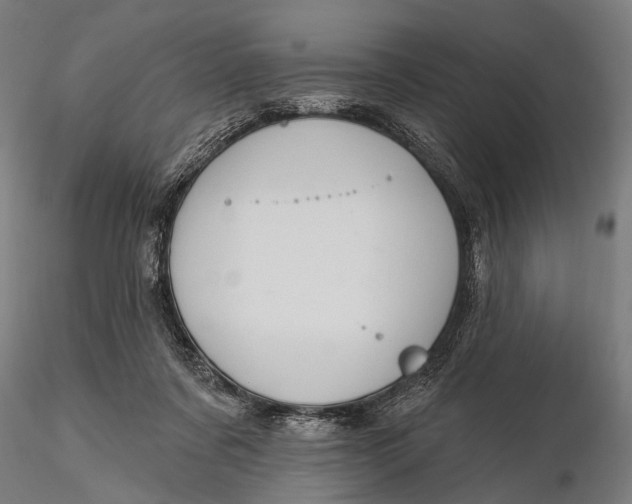 X0000115610311200912011557