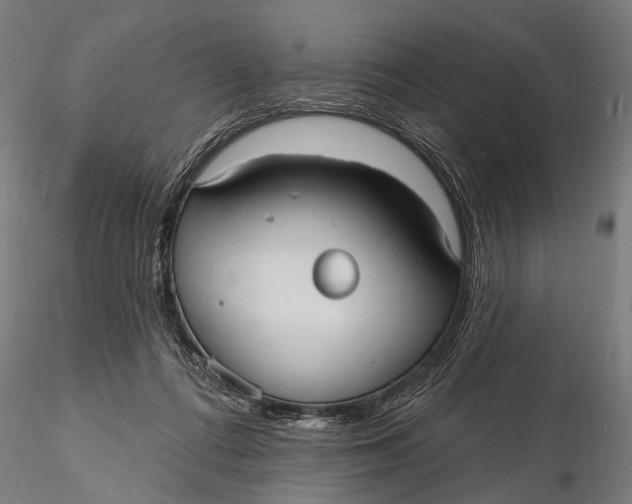 X0000115610312200912011557