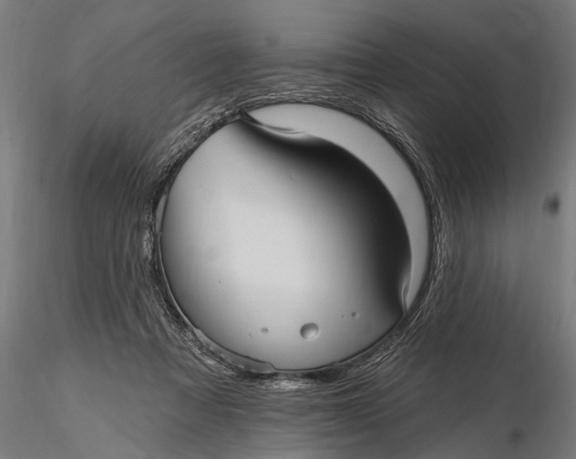 X0000115610313200912011557