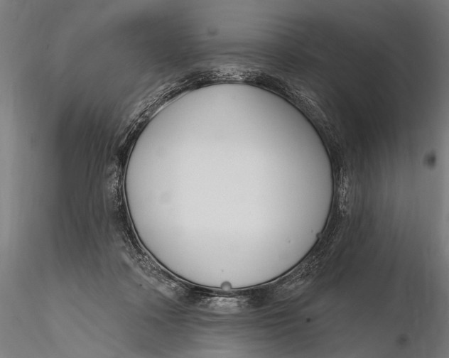 X0000115610314200912011557