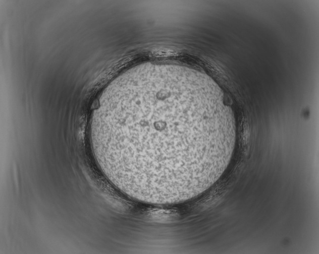 X0000115610315200912011557