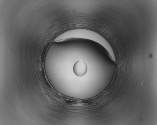 X0000115610316200912011557