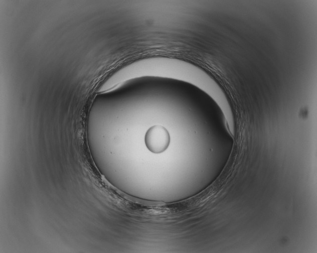 X0000115610317200912011557