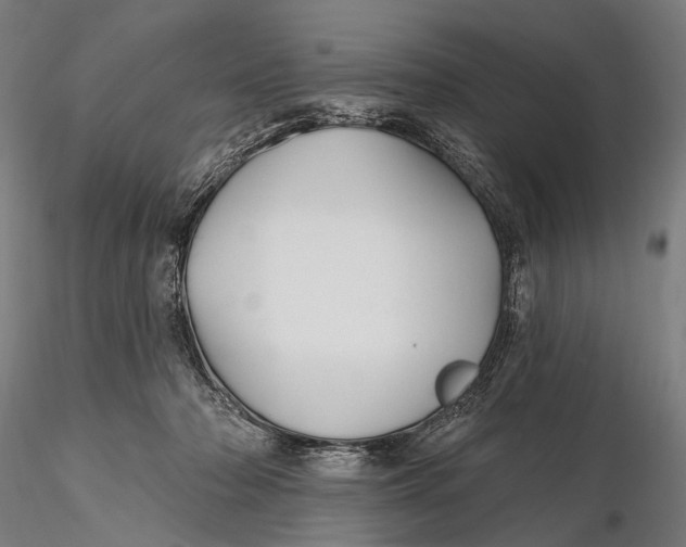 X0000115610318200912011557