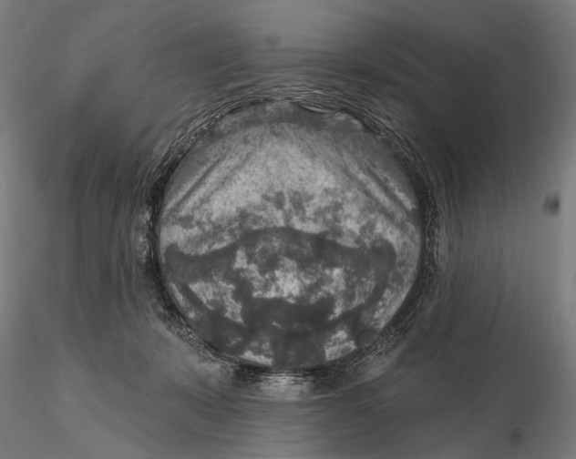 X0000115610319200912011557