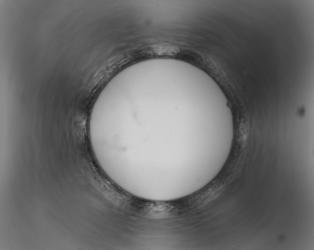 X0000115610321200912011557