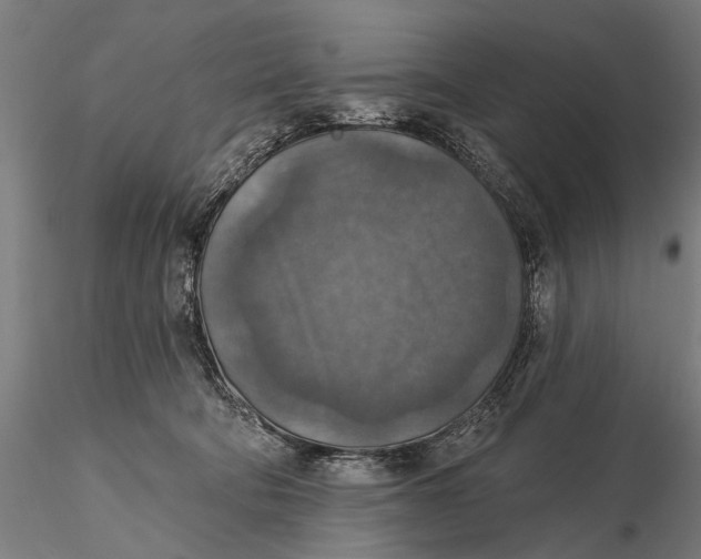 X0000115610322200912011557