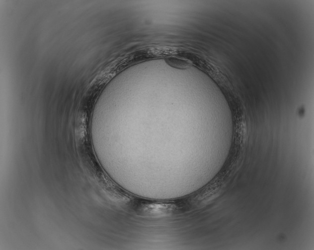 X0000115610323200912011557