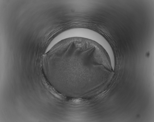 X0000115610325200912011557