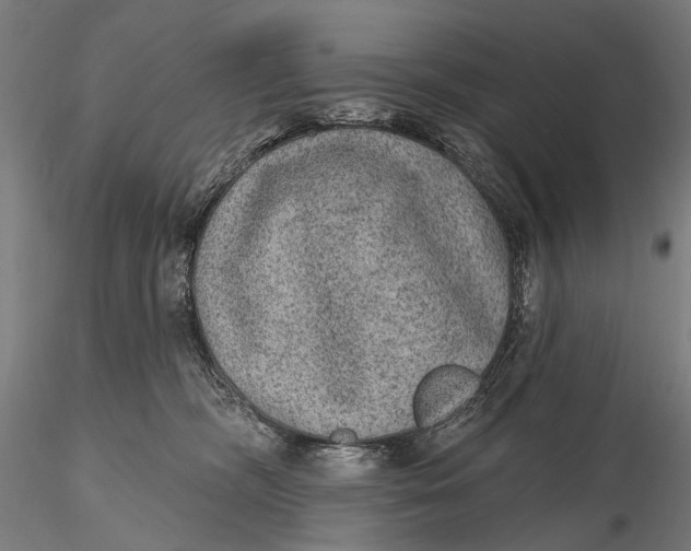 X0000115610326200912011557
