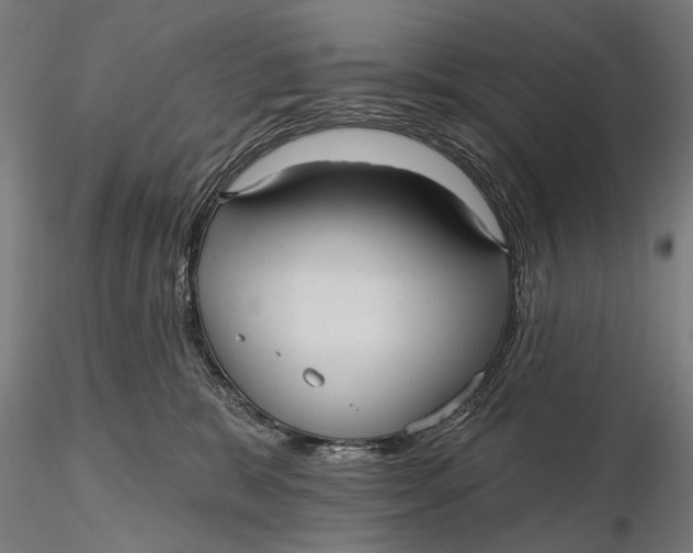 X0000115610327200912011557