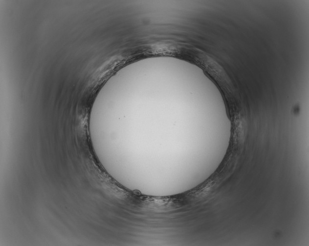 X0000115610329200912011557