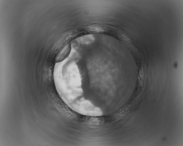 X0000115610330200912011557