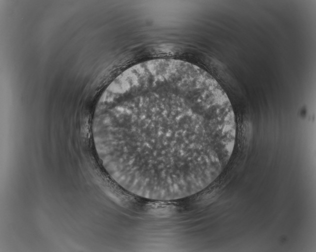 X0000115610331200912011557