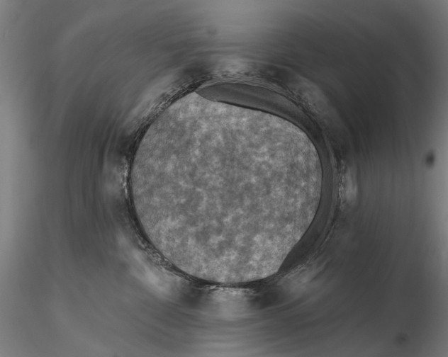 X0000115610332200912011557