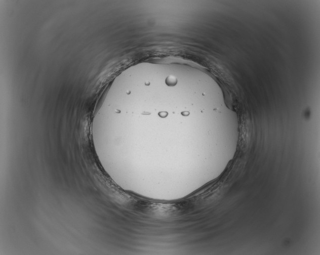 X0000115610333200912011557