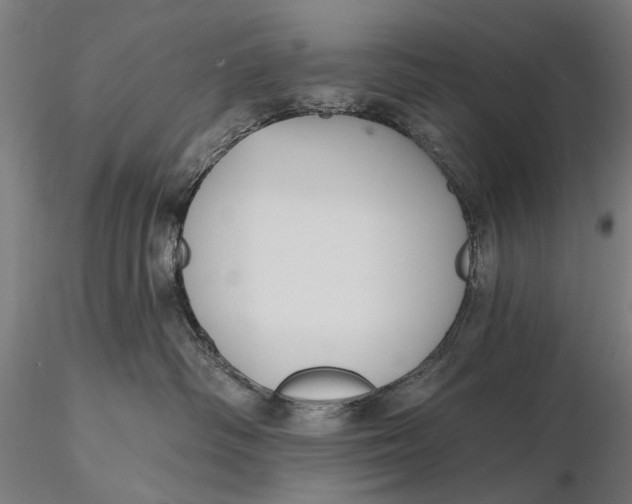X0000115610334200912011557