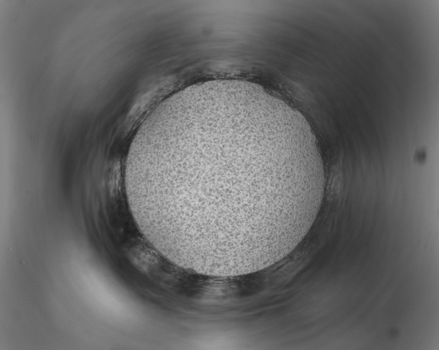 X0000115610335200912011557
