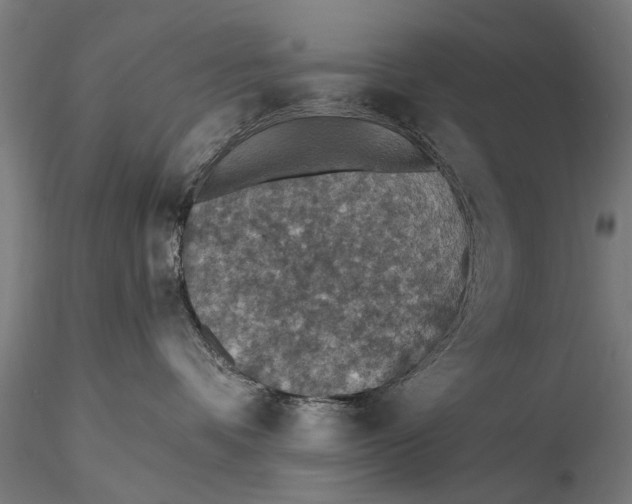 X0000115610336200912011557