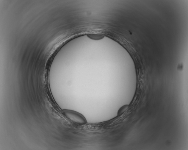X0000115610338200912011556