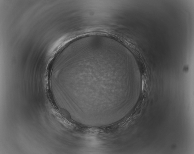 X0000115610339200912011556