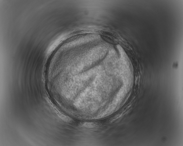 X0000115610341200912011556