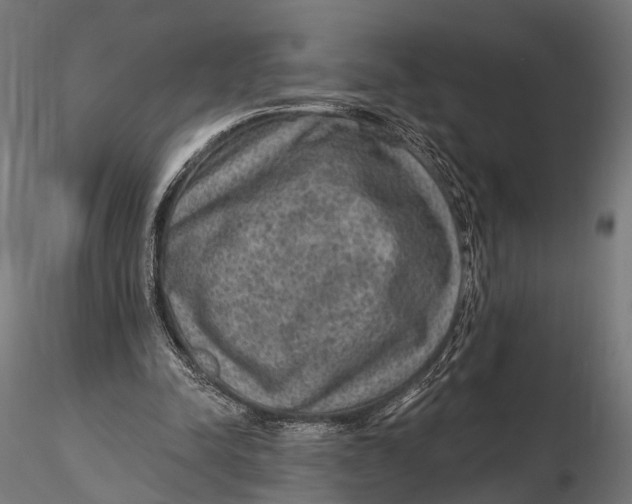 X0000115610342200912011556