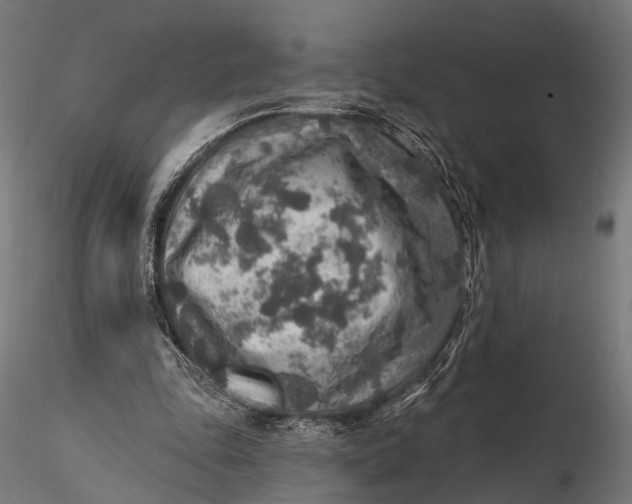 X0000115610343200912011556