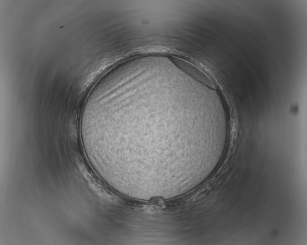X0000115610345200912011556