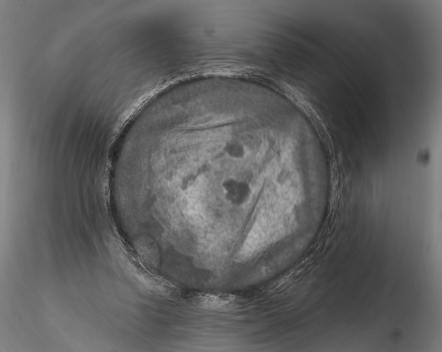 X0000115610346200912011556