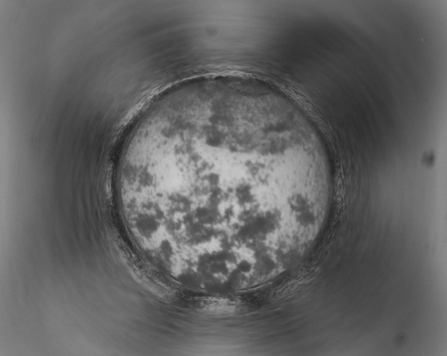 X0000115610347200912011556