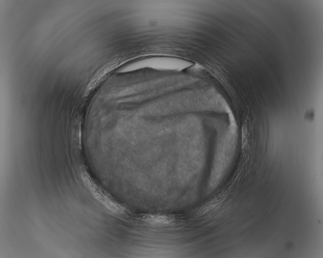 X0000115610349200912011556