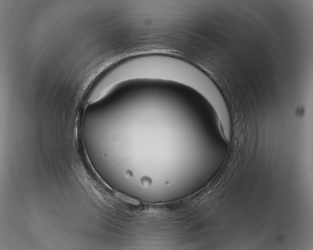 X0000115610350200912011556