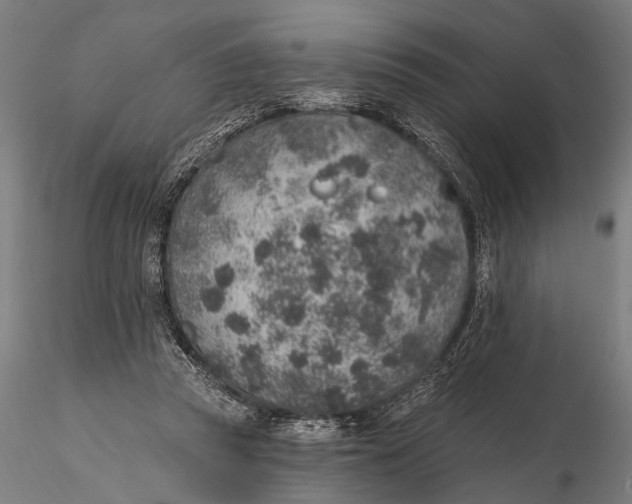 X0000115610353200912011556