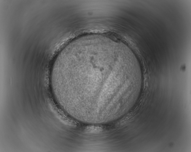 X0000115610354200912011556