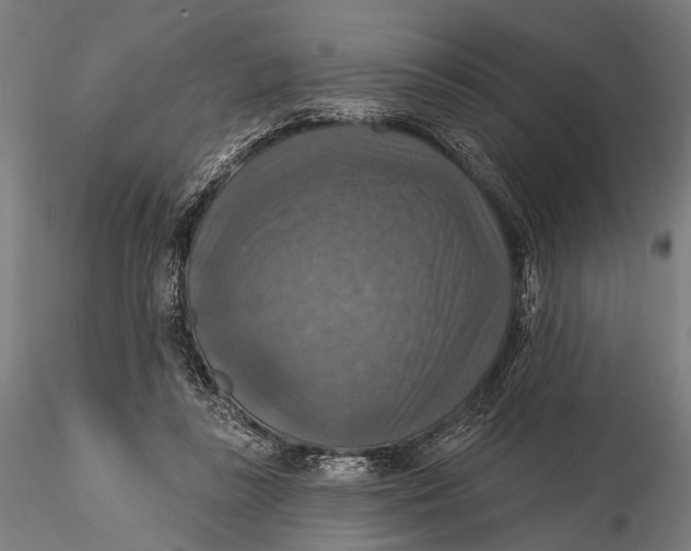 X0000115610355200912011556