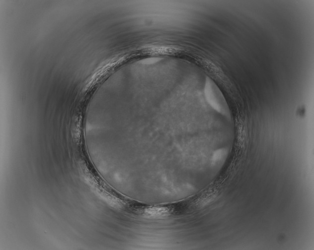 X0000115610357200912011556