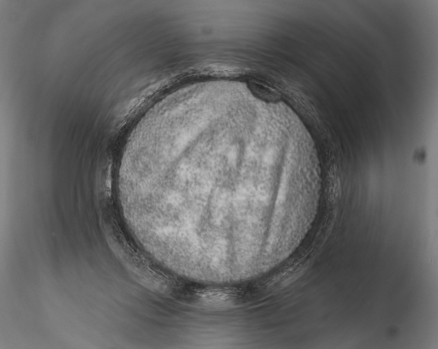 X0000115610358200912011556